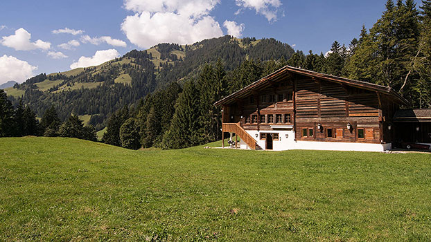 GREAT LUXURIOUS FARMHOUSE